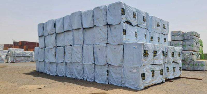 مستودع RHINI